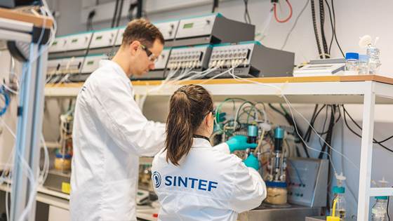 Improved production process for Lithuanian bio-fertilizers