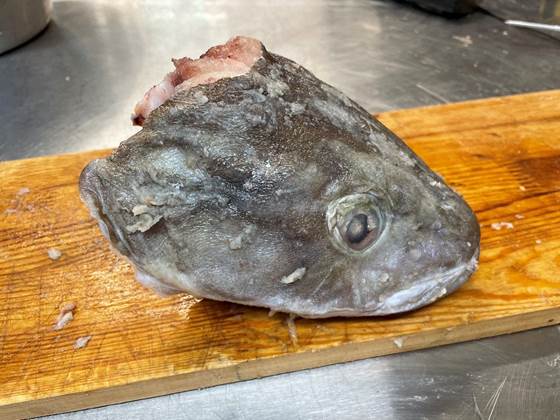 Fresh, line-caught cusk as raw material for fillet production