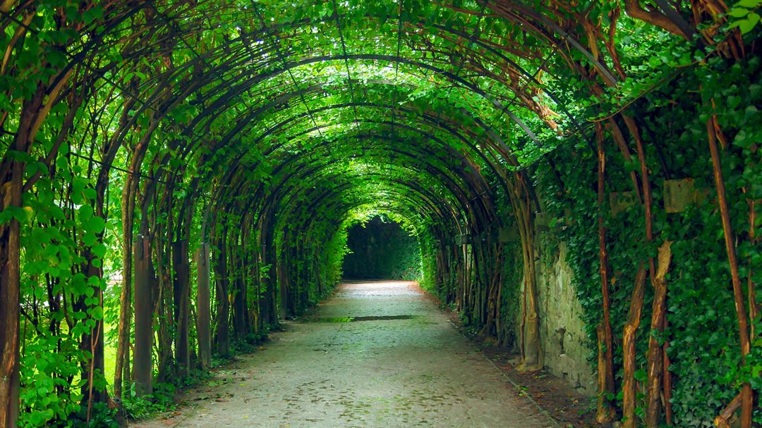 grønne tunneller