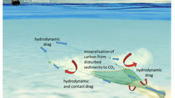 AP1 Review of studies that reduce fuel consumption and seabed contact