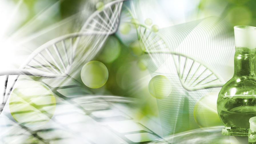 Bioteknologi og nanomedisin