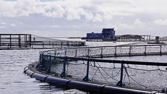 Apply for Fully EC-Funded Access to Top-Class Research Infrastructures with AQUAEXCEL2020