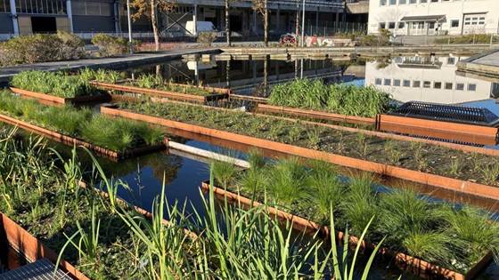VERBENA -  gratis verktøy for naturbaserte løsninger for overvann