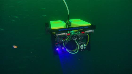 Dette gjør SINTEF under Aqua Nor