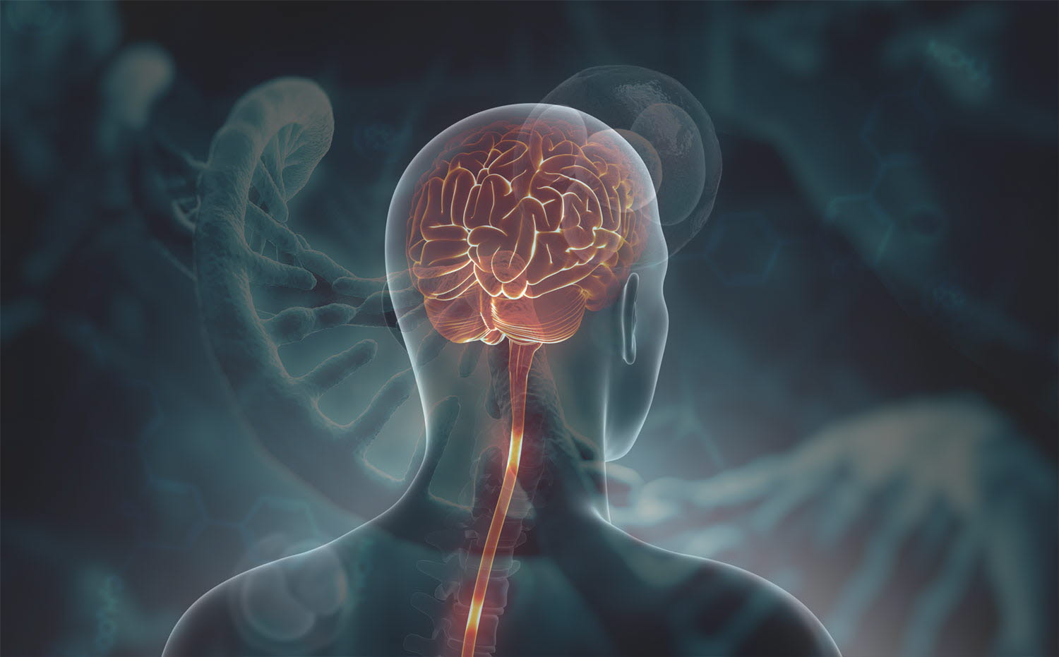 B-SMART - Brain-Specific, Modular and Active RNA Therapeutics