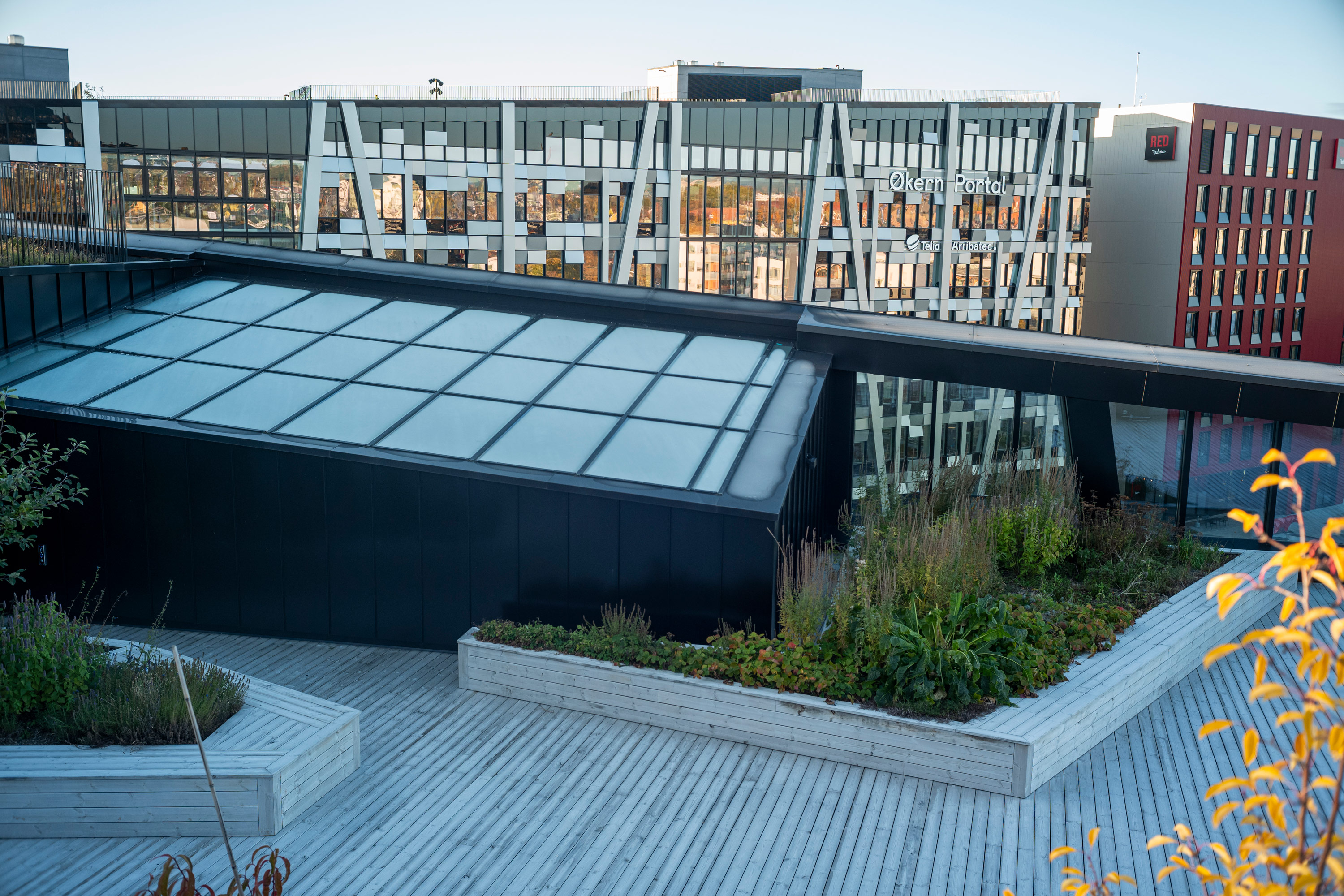 Tre gode formål konkurrerer om plassen på taket