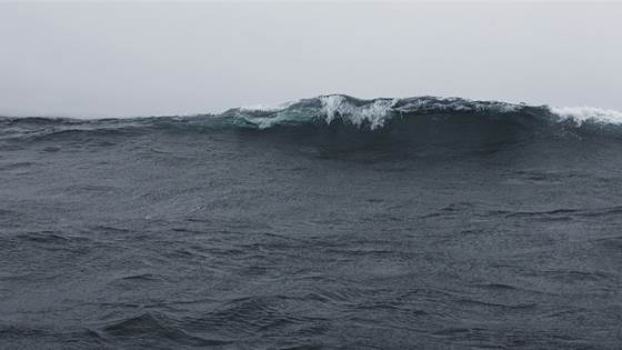 Utreder ett felles SINTEF-institutt for havromsforskning