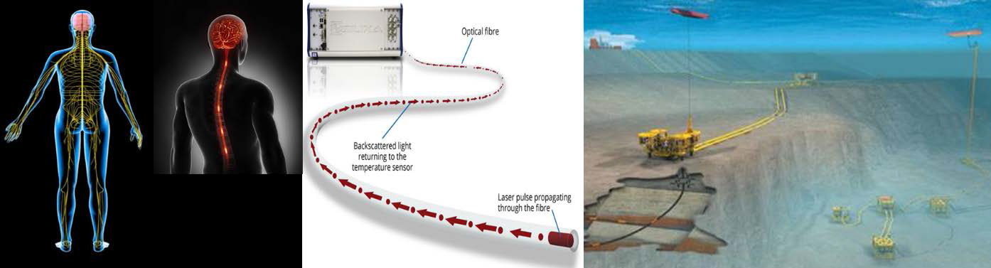 Distributed Fiber Optic Sensing (DFO) –While Waiting for True Artificial Intelligence