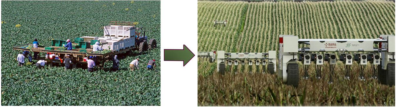 ROBOFARMER - Safe and reliable sensing, learning and control of an autonomous multi-arm agri-robot platform