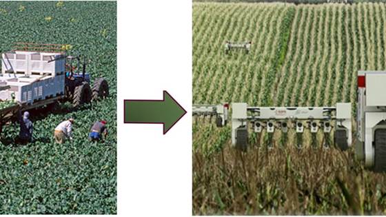 ROBOFARMER - Safe and reliable sensing, learning and control of an autonomous multi-arm agri-robot platform