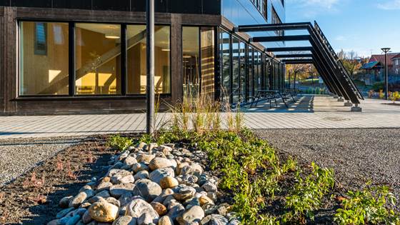 Finner løsninger på naturens premisser