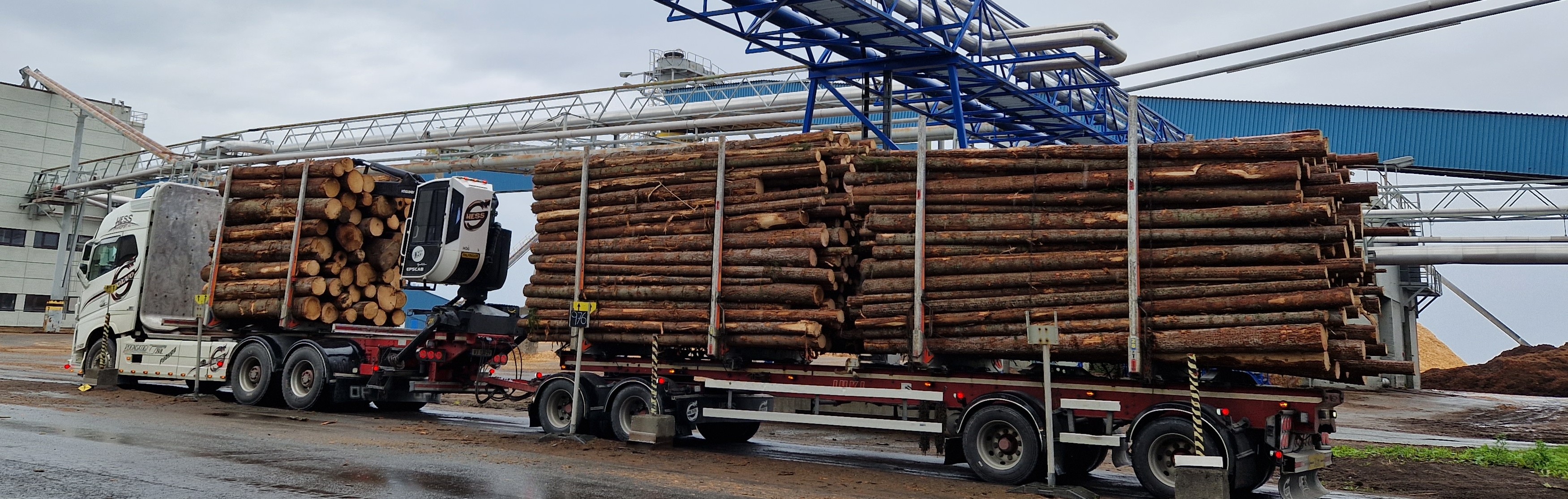 Pilot Samhandling om Kompetanse for Biobasert Næringsliv i Trøndelag og Nordland (Pilot SamKomBioNær)