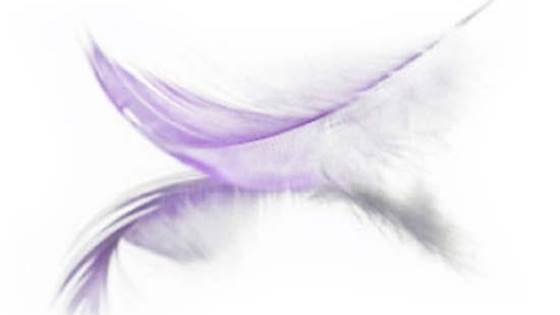 Utilization of Health Care Services at the End of Life