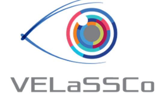 VELaSSCo