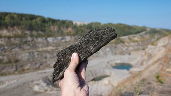 Hvordan kan Norge skape verdens mest bærekraftige mineralnæring?