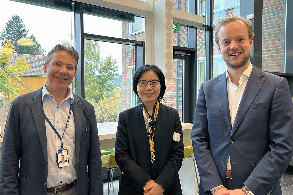 Building hydrogen supply chains: lessons from global frontrunners