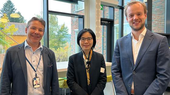 Building hydrogen supply chains: lessons from global frontrunners