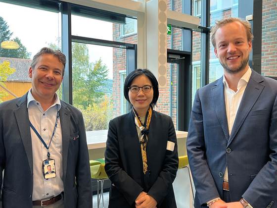 Building hydrogen supply chains: lessons from global frontrunners