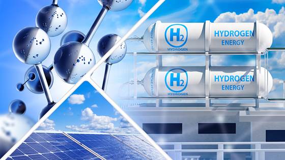 Building hydrogen supply chains: lessons from global frontrunners