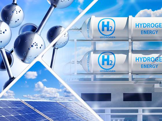 Building hydrogen supply chains: lessons from global frontrunners