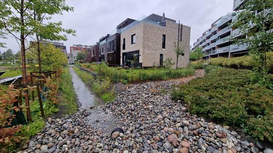 Slik sikrer du god overvannshåndtering i småhusområder