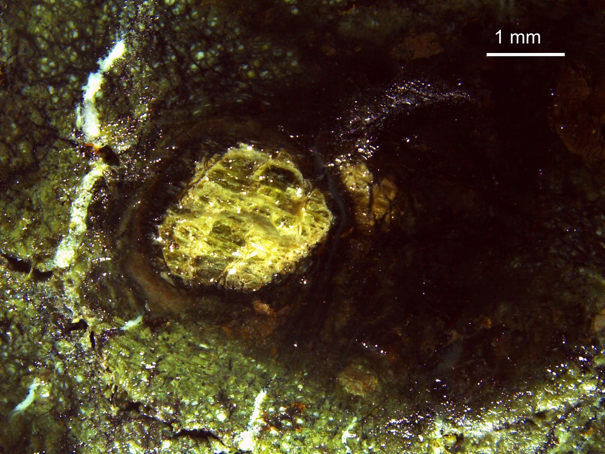 Dette mikroskopbildet viser oss peridotitt, en av de mest vanlige bergartene på jorda. Tross dette, er det ikke så ofte man ser den på overflaten, siden den er vanligvis godt skjult nede i mantelen. Lucky Ridge, der vi befinner oss nå, er en av få kjente plasser der mantelbergarter er eksponert på havbunnen. Bilde: Sabina Strmic Palinkas (UiT)