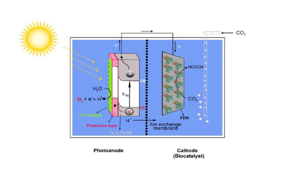 CO2BioPEC - CO2 utilization by formate dehydrogenase biocatalyst in a PhotoElectrochemical Cell