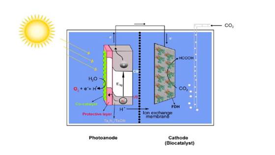 CO2BioPEC - CO2 utilization by formate dehydrogenase biocatalyst in a PhotoElectrochemical Cell