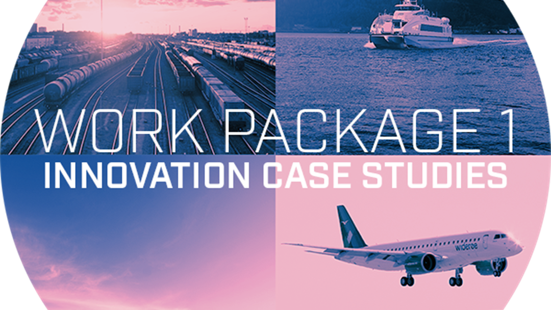 Work Package 1 - Innovation Case Studies