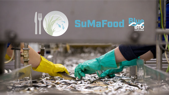 SumaFood
