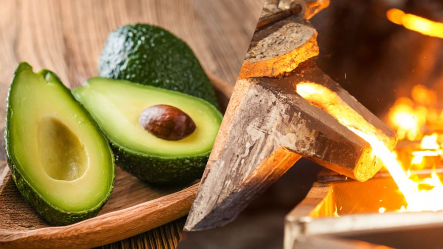 Turning industrial waste heat into avocados
