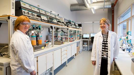 Fermentation laboratory at SINTEF