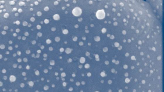 SURKINOX – Designing rules for enhancing SURface KINetics in functional OXides for clean energy technologies