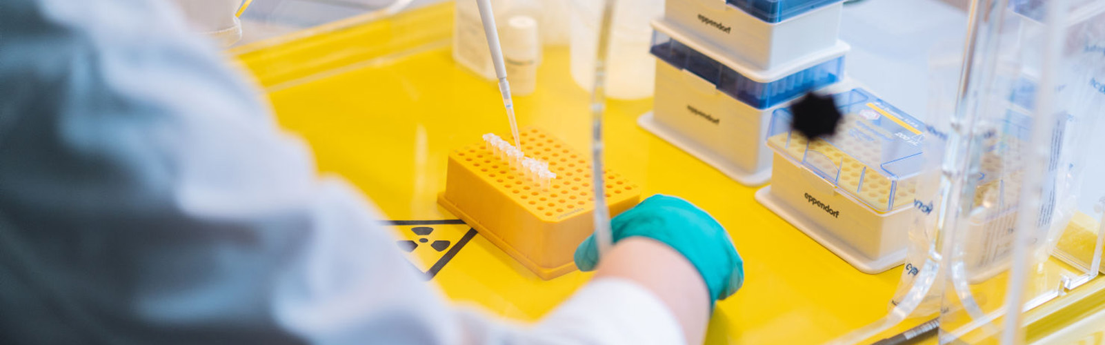 Molecular biology laboratory