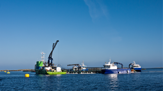 Krevende operasjon ved merd