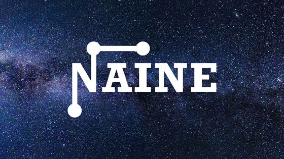 NAINE event: The Norwegian AI -strategy