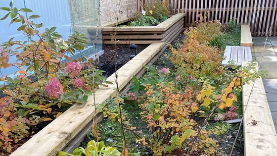 Slik får du tak som kan håndtere overvann