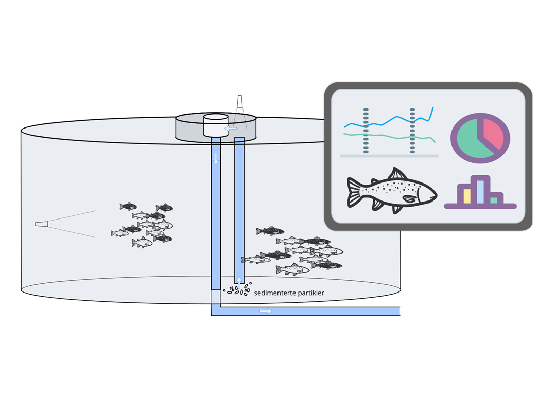 Illustrasjon av kamerasystem i oppdrettsmerd