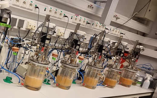 Fermentering på SINTEFs laboratorie