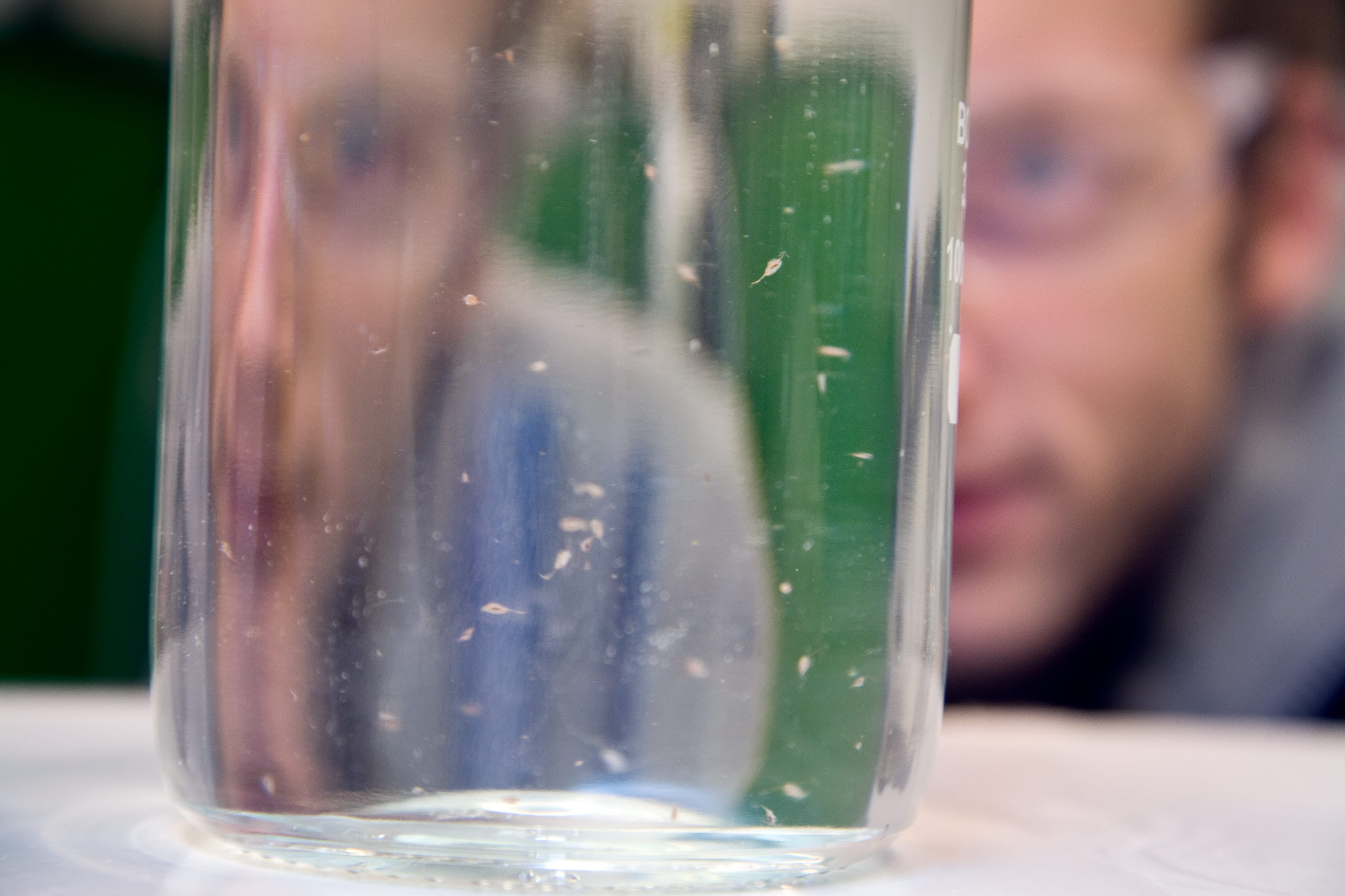 Ecotoxicology laboratory at SINTEF SeaLab