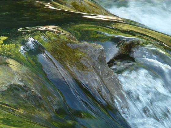 EOPS - one area power-market simulator