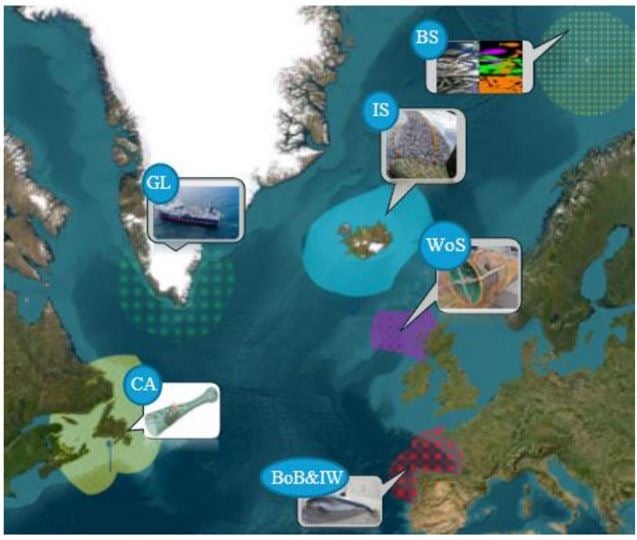 Illustration of demo sites