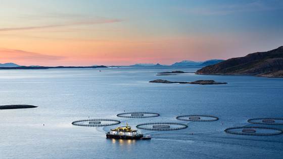 Samfunnsmessige konsekvenser av framtidig vekst i lakseoppdrett
