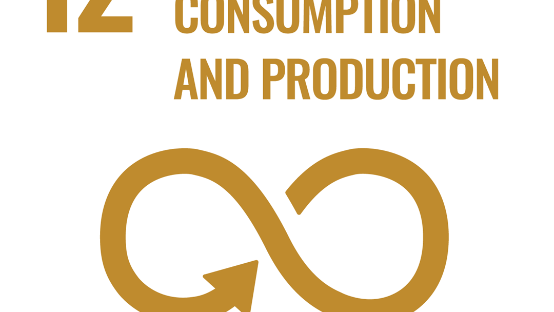 SDG 12: Responsible consumption and production