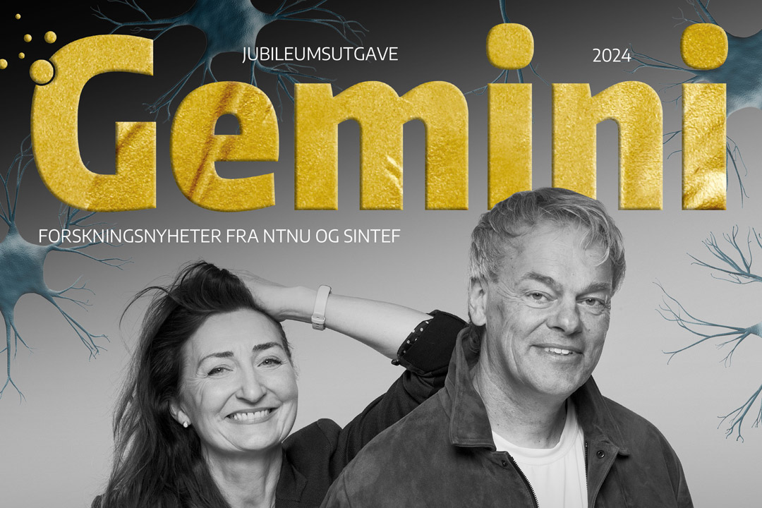 Værsågod: Her har du Geminis jubileumsnummer!