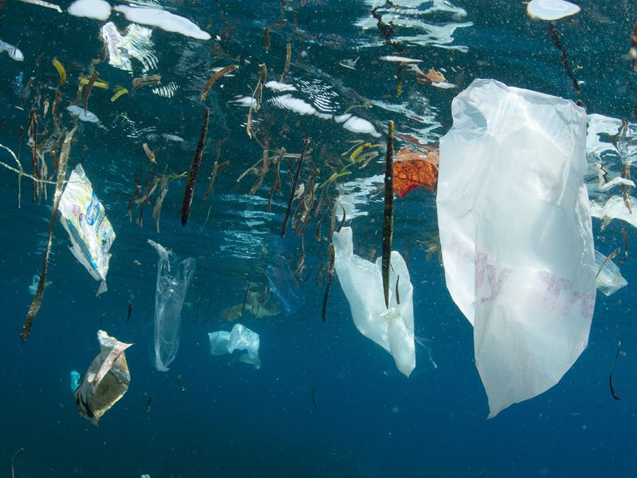 In-No-Plastic: Innovative tilnærminger mot forebygging, fjerning og gjenbruk av marin plastsøppel