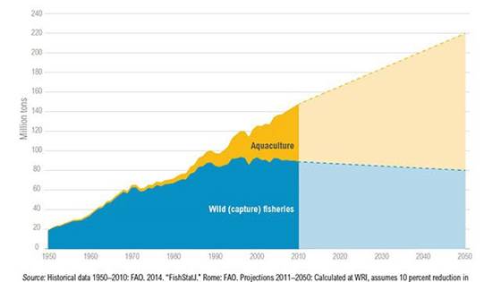 Global Aquatech Summit