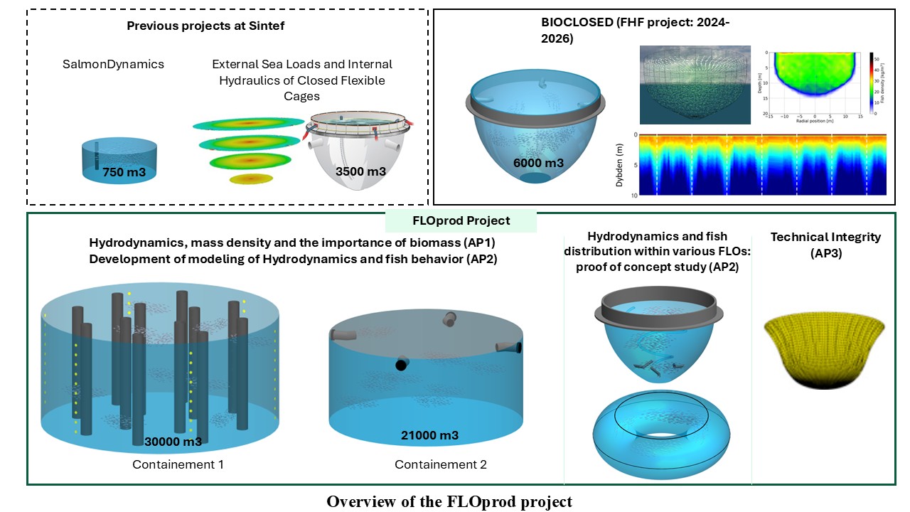 Graphic showing an overview of the project
