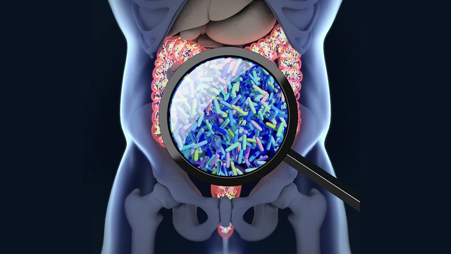 SIP GUT: Development of tools for gut microbiota research