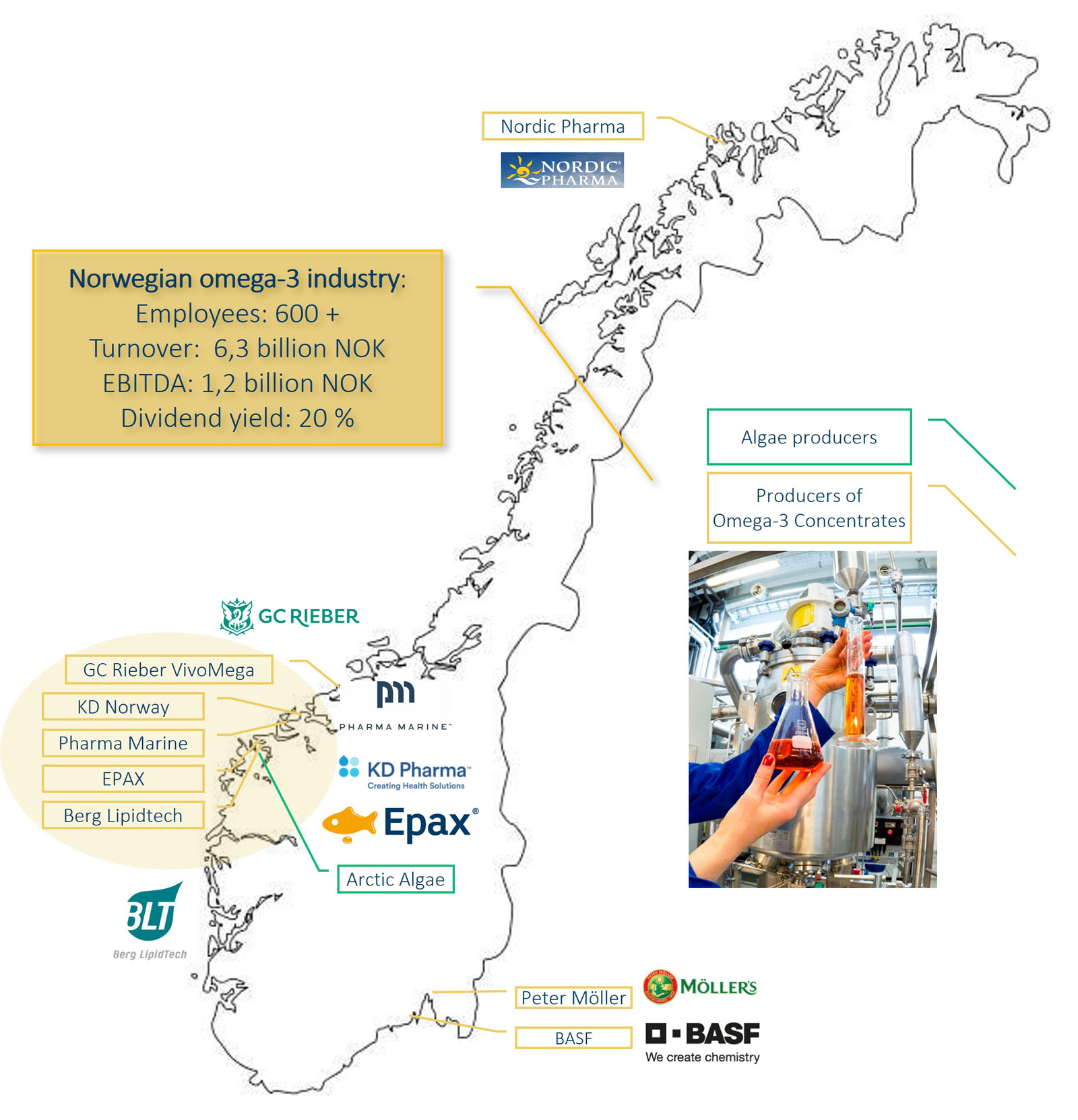 Graphic showing an overview of the project